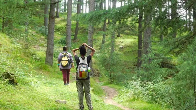 Meghalaya Tour