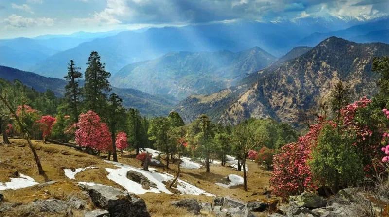 Meghalaya Tour