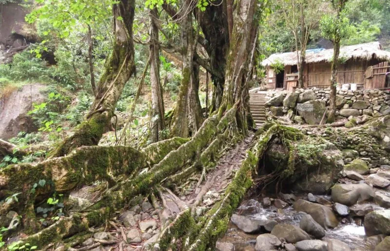 1-Day Hikes in India