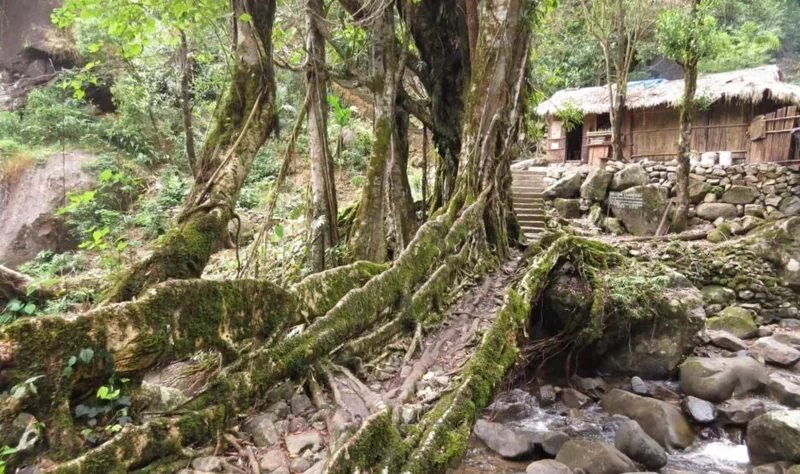 Meghalaya Trip