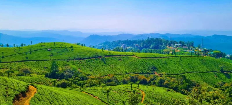 Meghalaya Trip