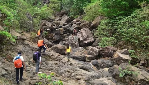 Meghalaya Wildlife