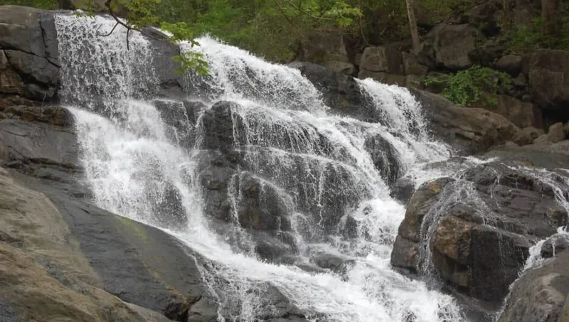 Meghalaya Tour