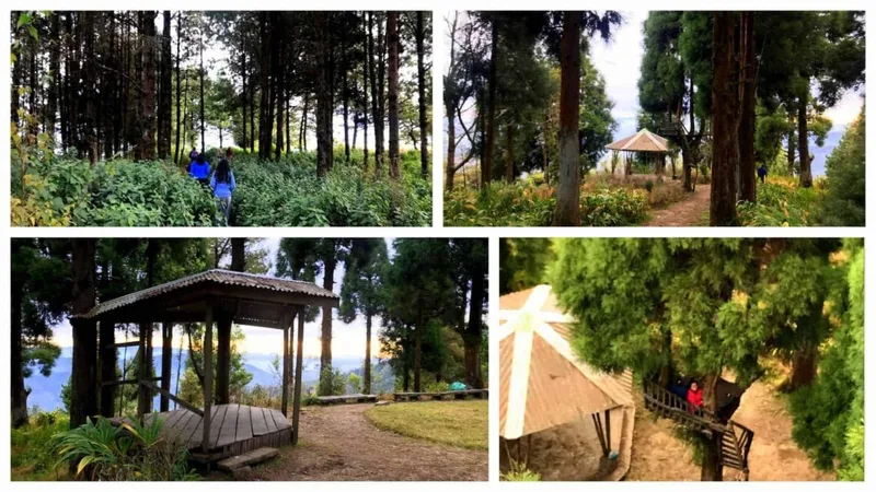 20 Magical Experiences you can have in Nagaland,HORNBILL MUSIC FESTIVAL,NAGA TRIBES,NAGA TRIBES DANCE,HERITAGE STALLS NAGALAND,DZUKOU VALLEY,SHANGRI-LA OF NORTHEAST,PFUTSERO,QUINTESSENTIAL HAVEN,QUINTESSENTIAL TOWN,JAPANESE CAVES,CHERRY BLOSSOMS,CHERRY BLOSSOMS NAGALAND,NIGHT CARNIVAL STREET,FLEA MARKET,CHRISTMAS BAZAAR,CARNIVAL GROUND NAGALAND,RICE BEER,GLIMPSE OF THE WWII HISTORY,STONE PULLING FESTIVAL,CHILI EATING COMPETITION,NAGA WRESTLING,PEOPLE OF NAGALAND