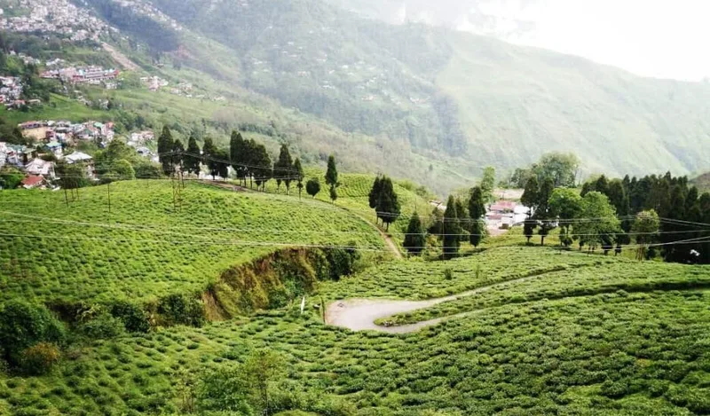 Meghalaya Tour