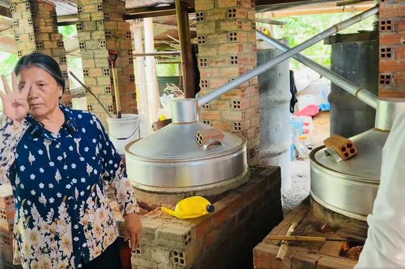 Experience the Flavors of the Battambang Vineyards