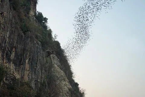 Take a ride on the Battambang Bat Caves