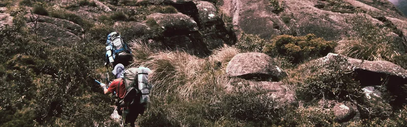 Trekking