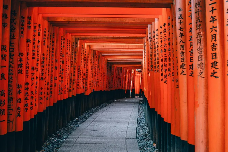 The thousand torii gates of Fushimi Inari shrine in Kyoto, bathed in deep orange-red, a quintessential Japan travel photograph