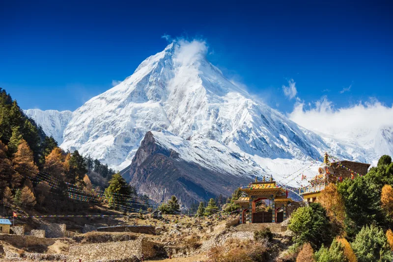 Manaslu peak (8,163m) towering over a Buddhist monastery and autumn-coloured forest in the Manaslu Conservation Area, Nepal