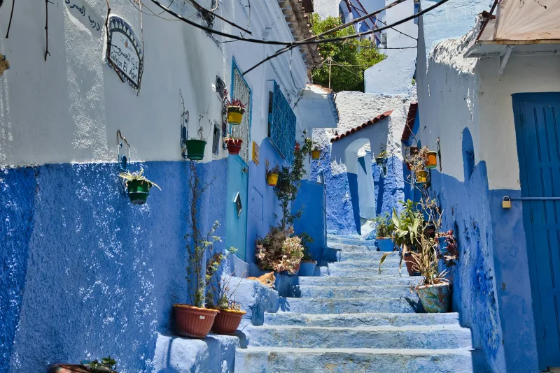 Blue-washed alleyway in Chefchaouen, Morocco, with flowerpots and painted stairs