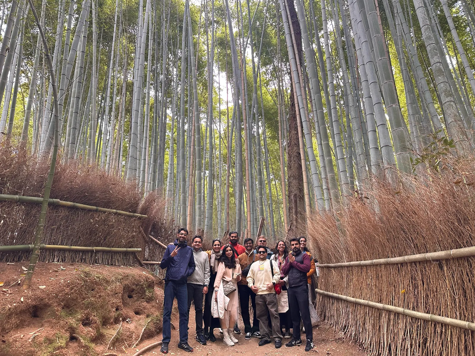 Bamboo forest on the Japan group trip with One in the Orange Jacket.