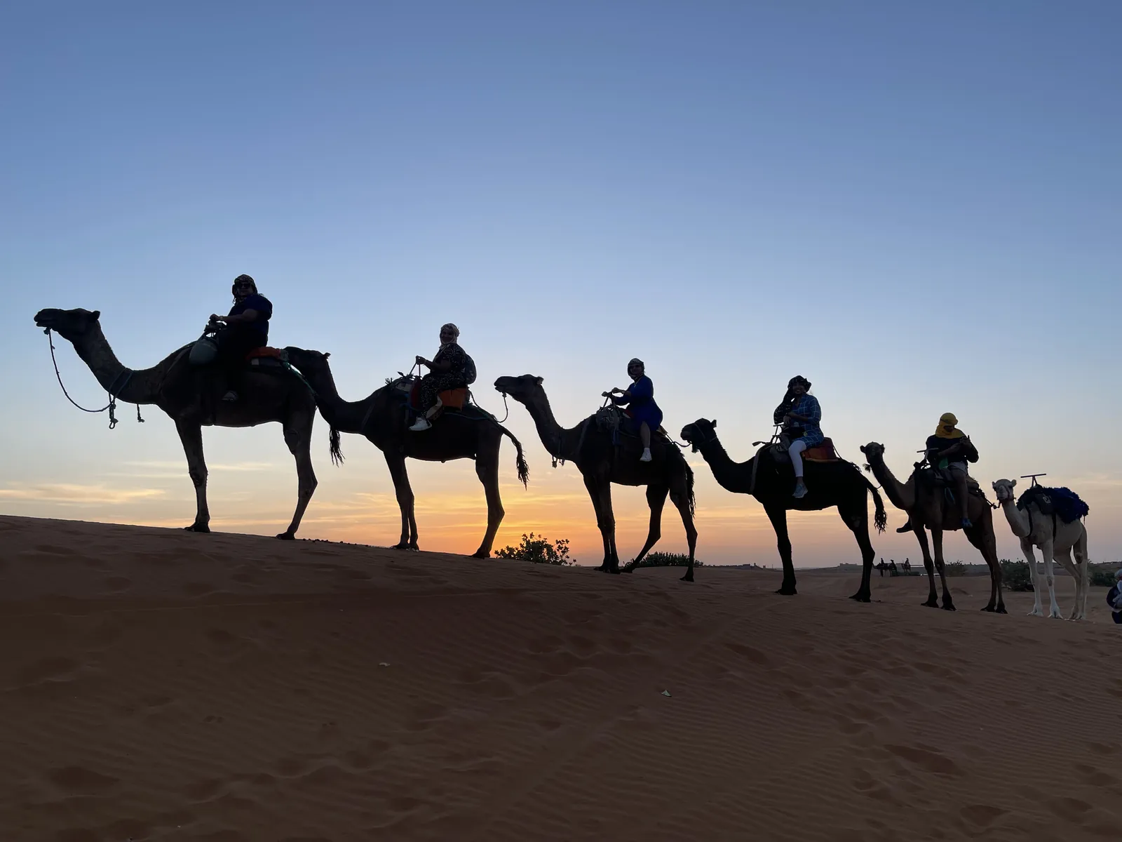 Sunset silhouettes camels on the Morocco group trip with One in the Orange Jacket.