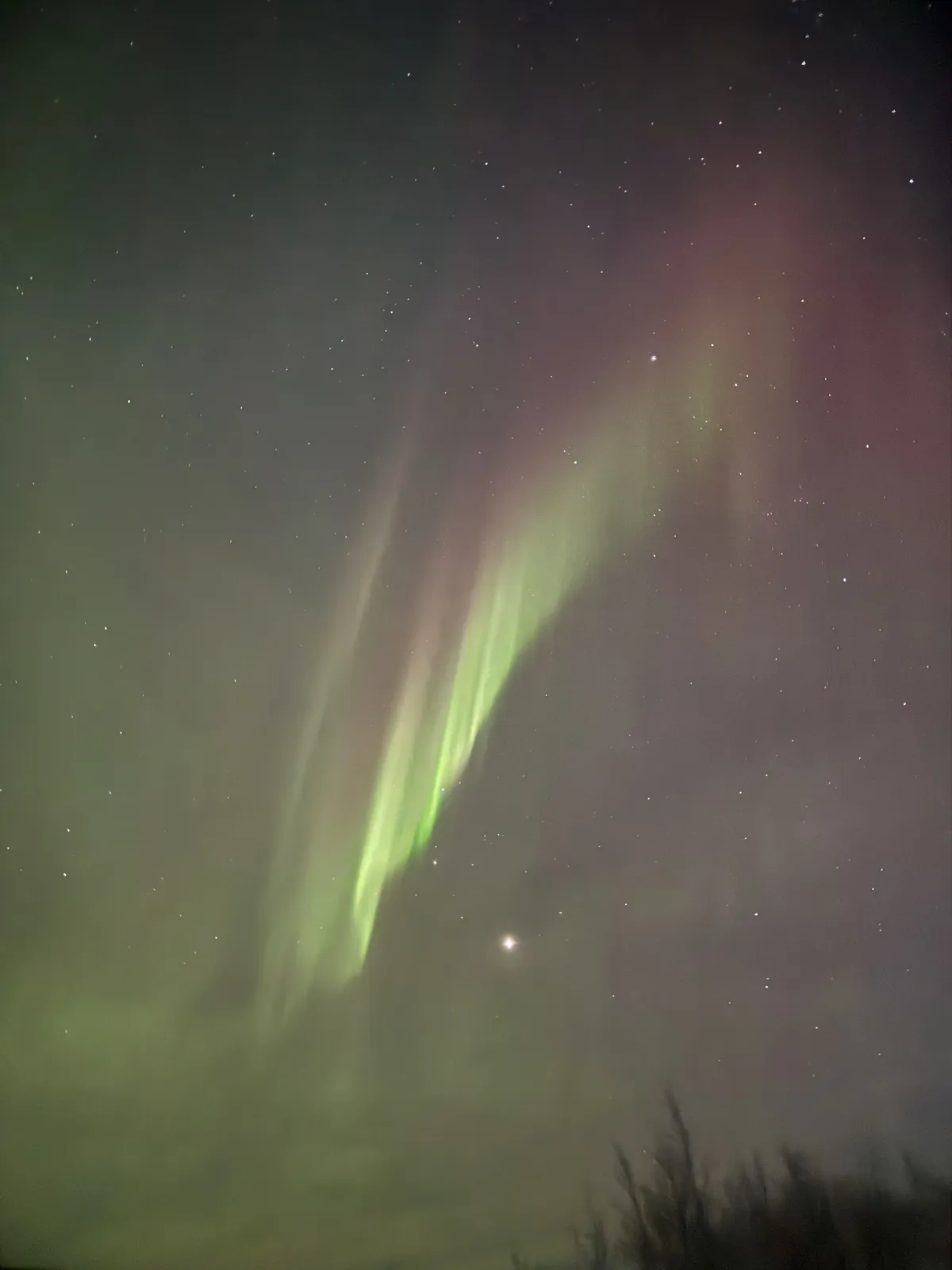 Night aurora borealis display green on the Russia group trip with One in the Orange Jacket.