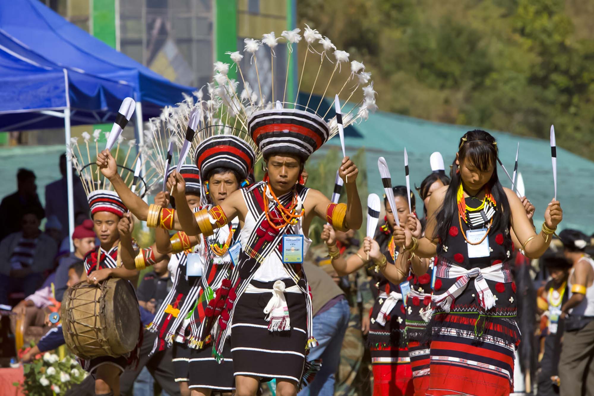 11 Best Things to Buy in Nagaland: Unlock the Secrets