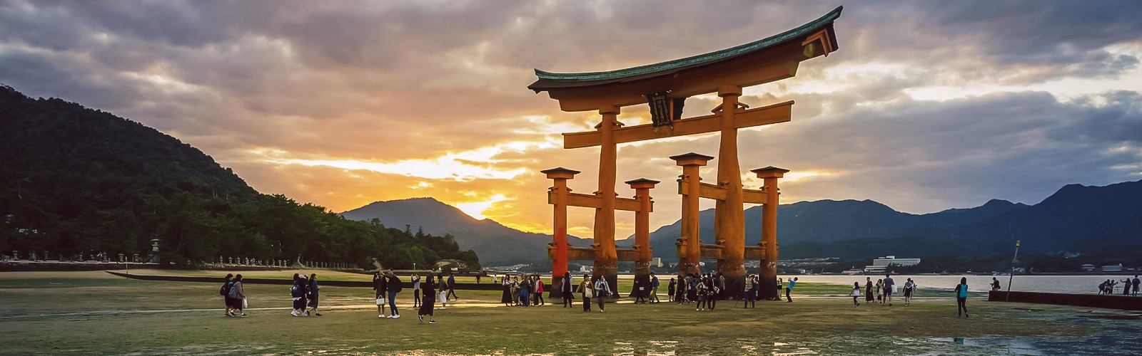 16 Best Family Destinations in Japan: Whisk Your Family Away (2023)