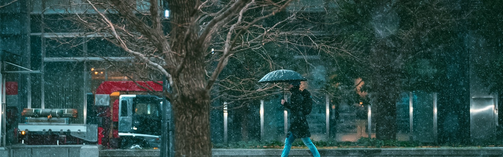 Best Time To Visit Japan: A Month-By-Month Weather Breakdown (2023)