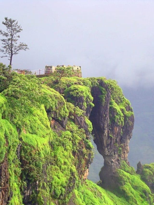 Top 7 Tourist Attractions in Mahabaleshwar