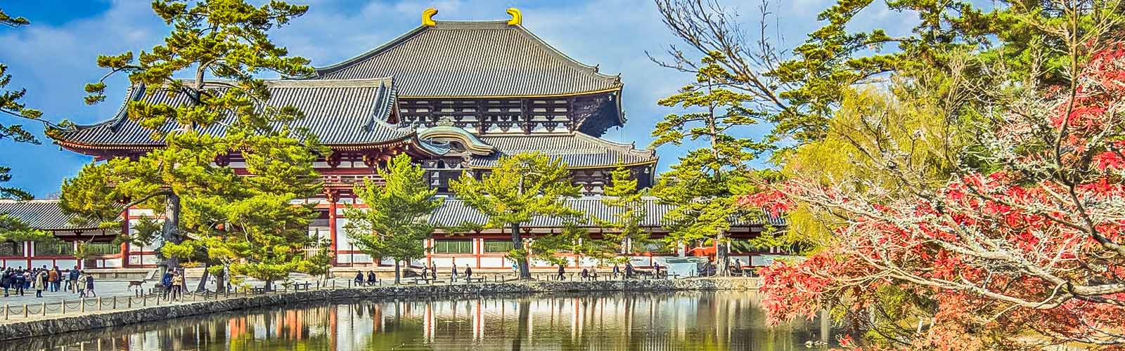 18 Best Things to Do in Nara: Get Ready to be Amazed (2023)