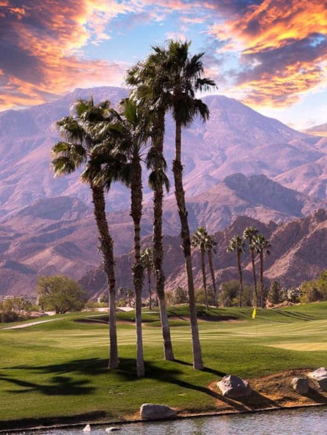 Top 7 Tourist Attractions in Palm Springs, CA