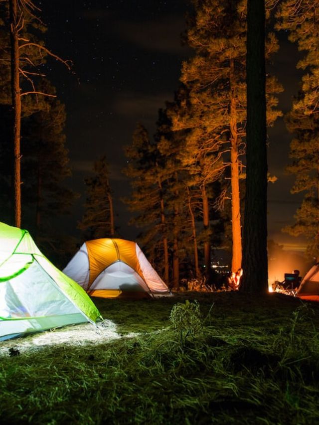 7 Scenic Campgrounds for Nature Lovers