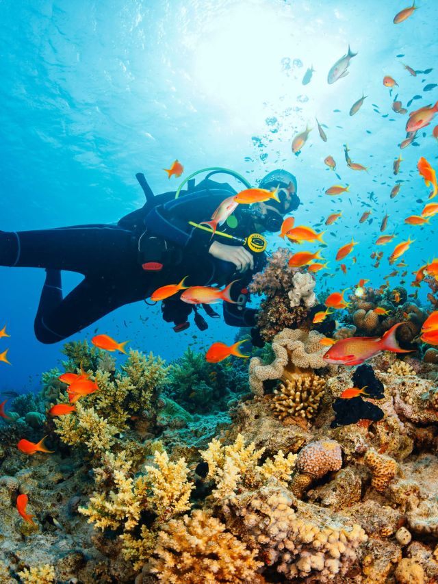 7 Best Places to Witness Coral Reefs through Snorkeling in Bali