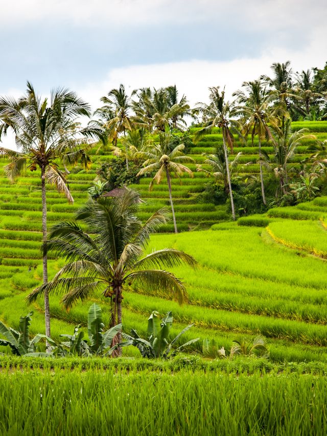 Top 7 Ways to Explore Bali Off the Beaten Path