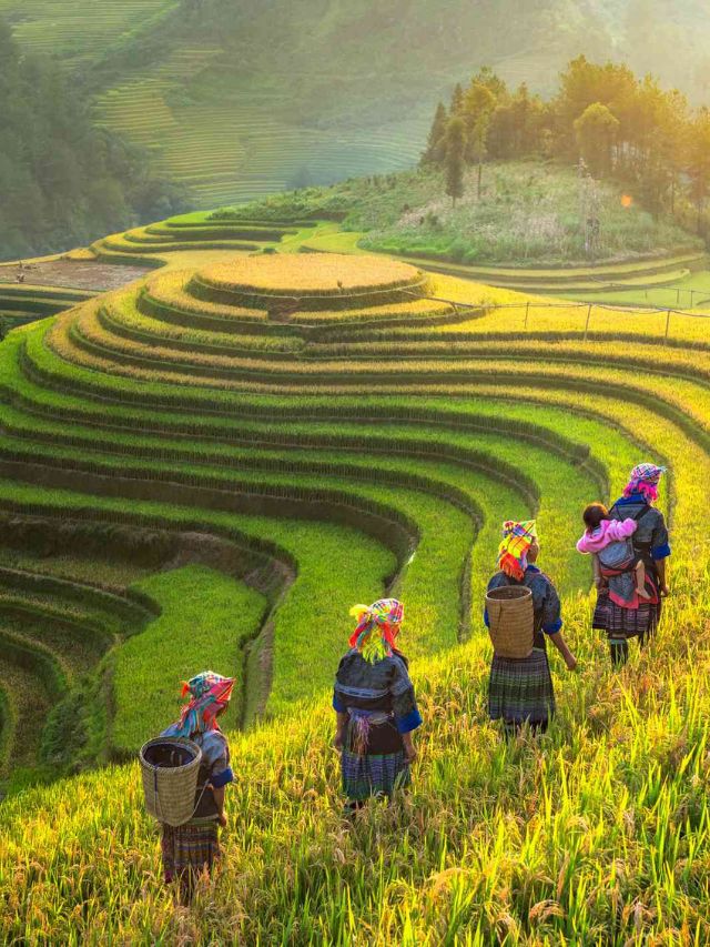 7 Best Trekking Trails in Sapa’s Highlands