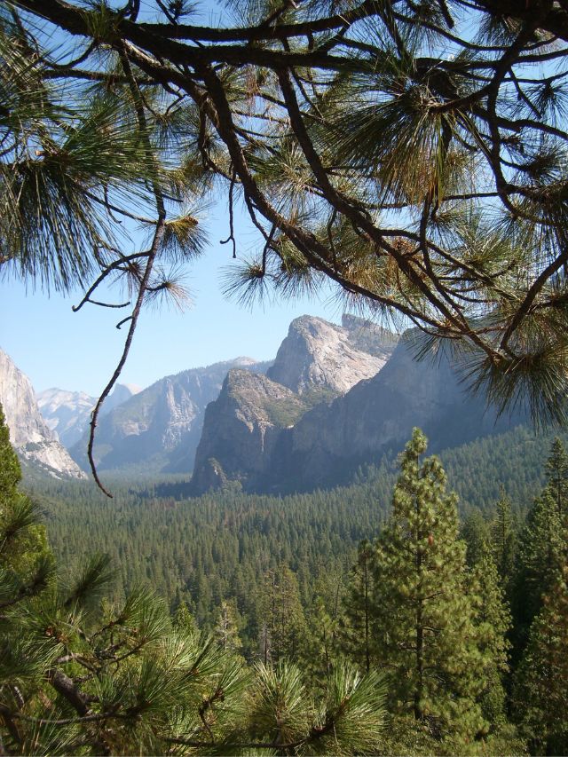 7 Best National Parks in California