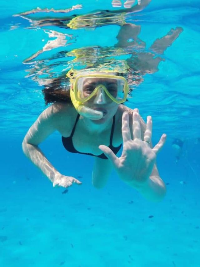 7 Best Snorkeling Spots in the Florida Keys