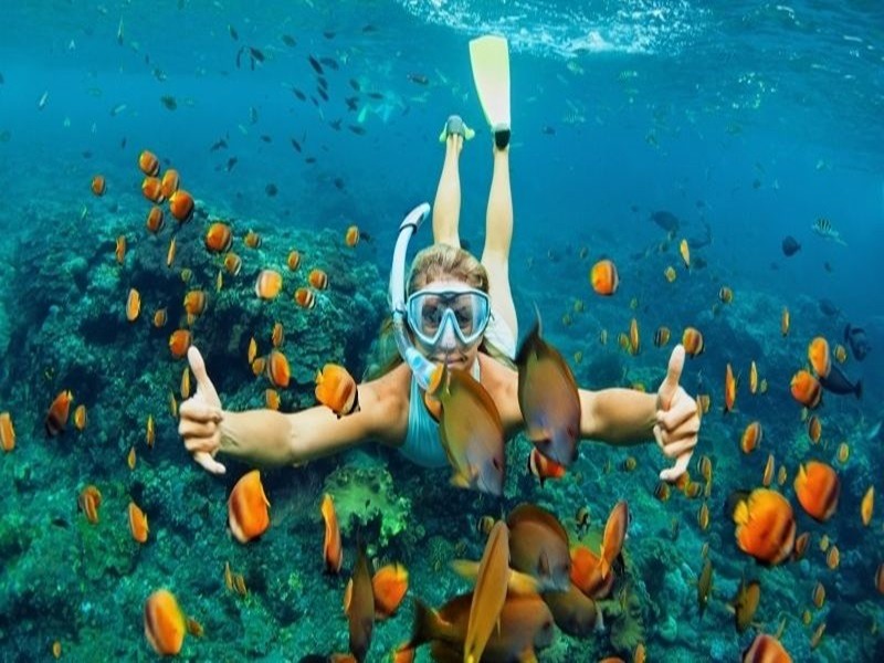 Enjoy Snorkeling