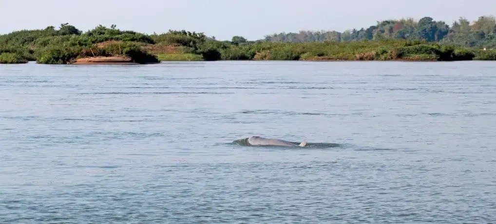 Stroll along the Kratie Riverside