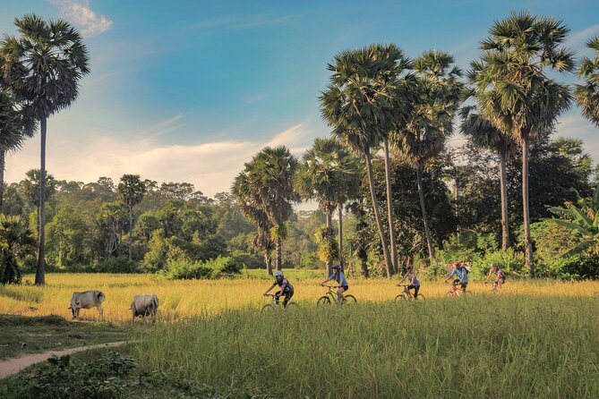 Peaceful and Tranquil Countryside
