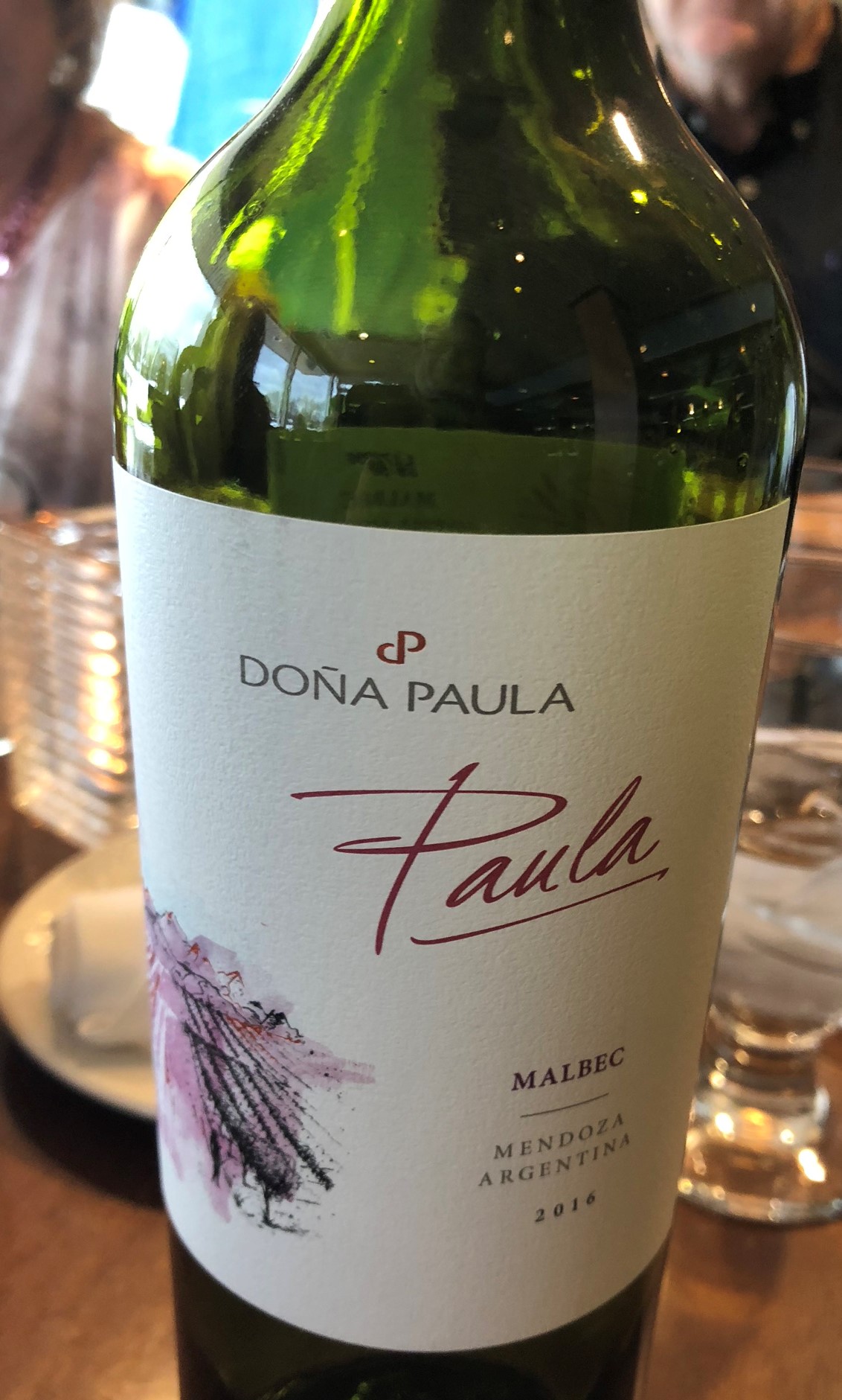Aconcagua Day 18, MENDOZA CITY DAY · CELEBRATION DINNER