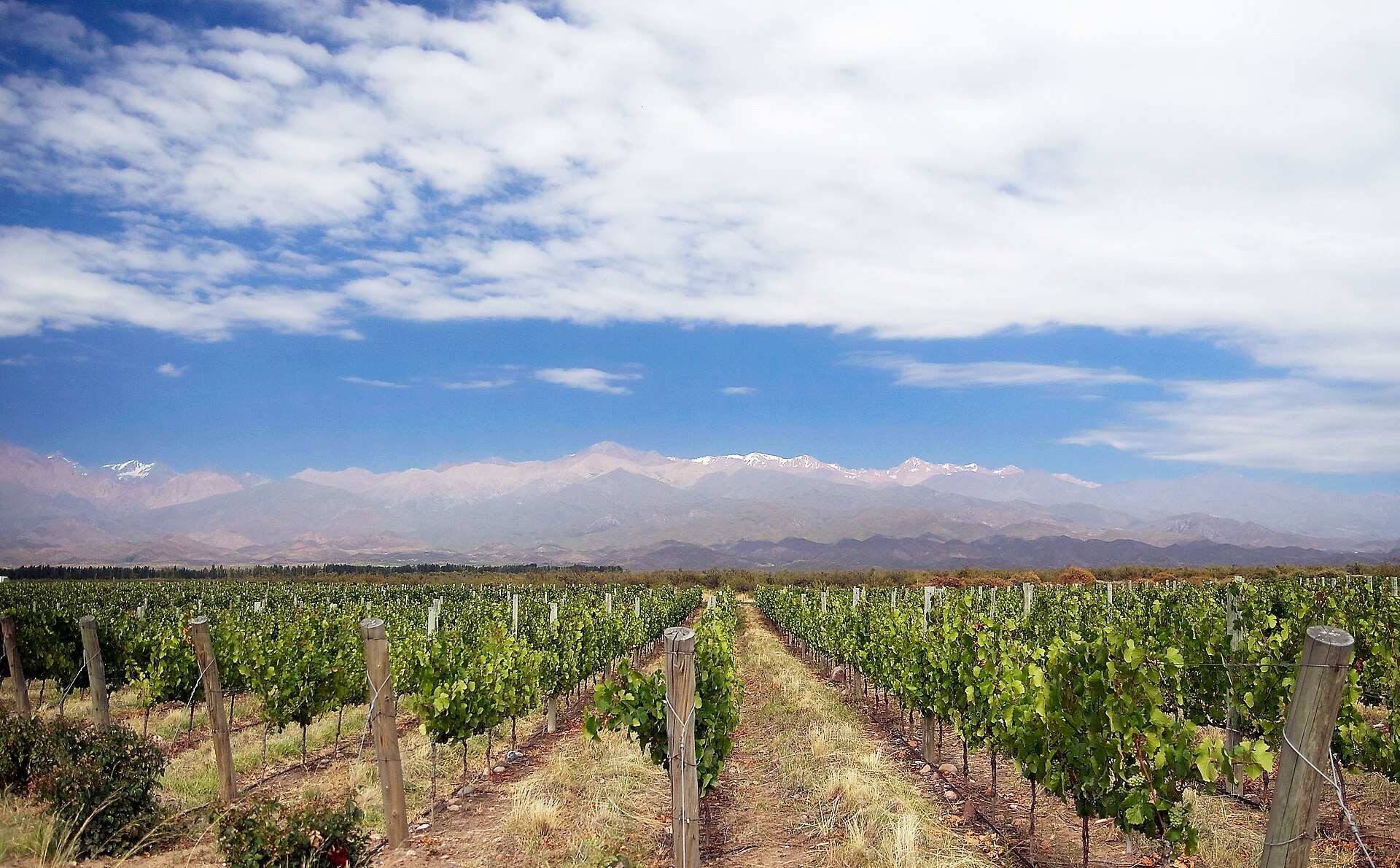 Aconcagua Day 18, MENDOZA CITY DAY · CELEBRATION DINNER