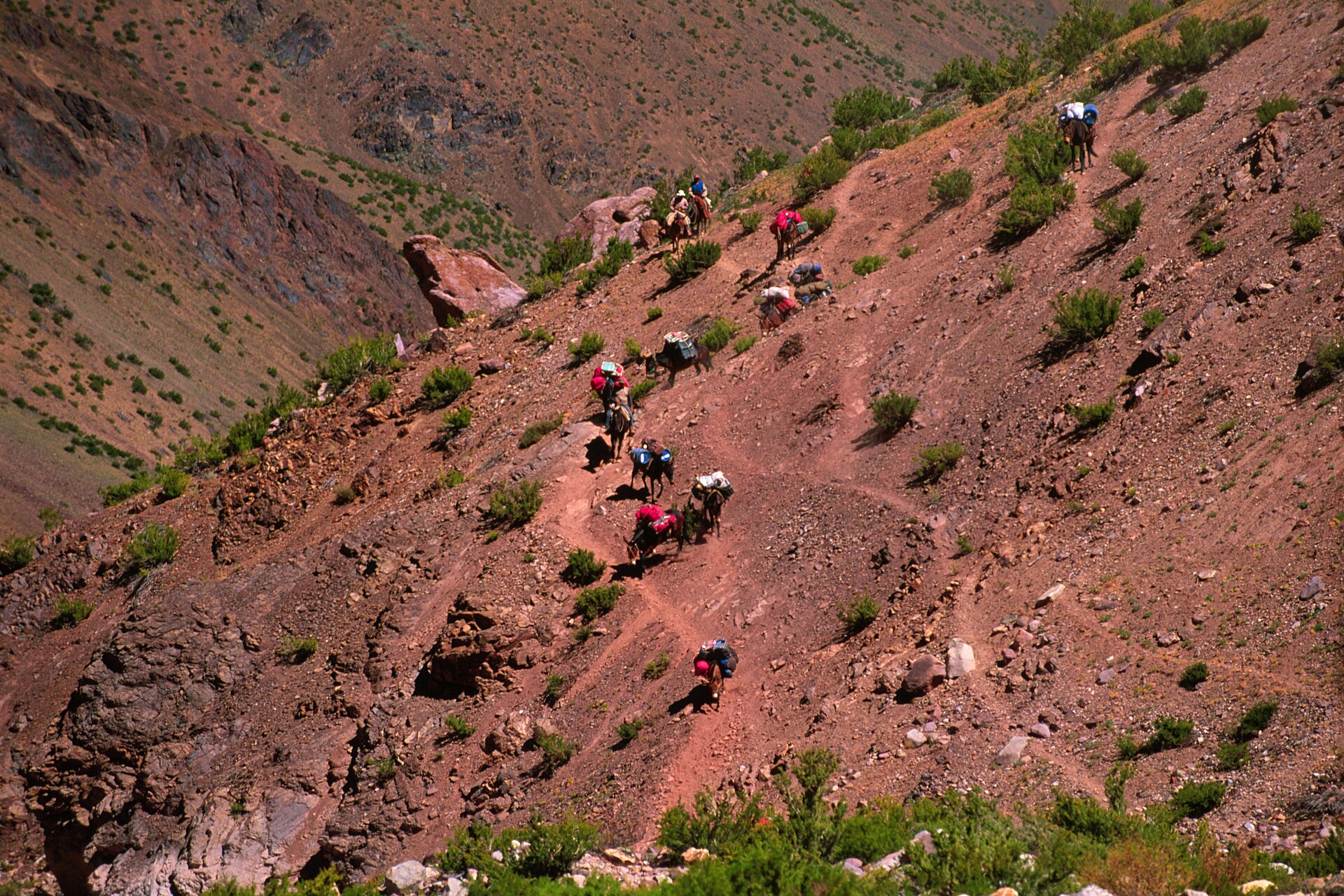 Aconcagua Day 5, TREK TO PLAZA DE MULAS BASE CAMP 4,300M