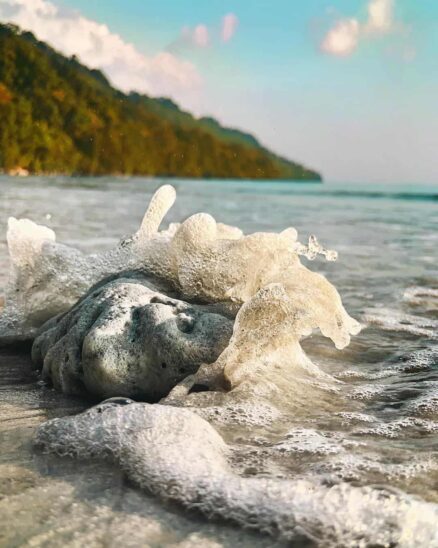 Elephant Beach