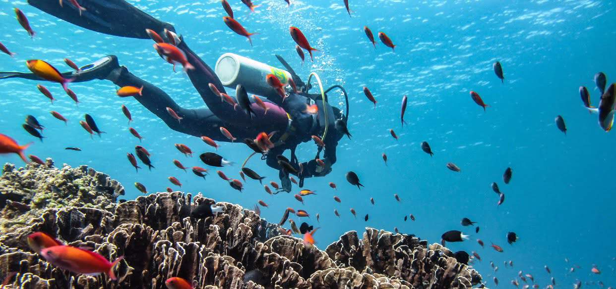 Gili T snorkel