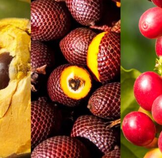 Peruvian exotic fruits
