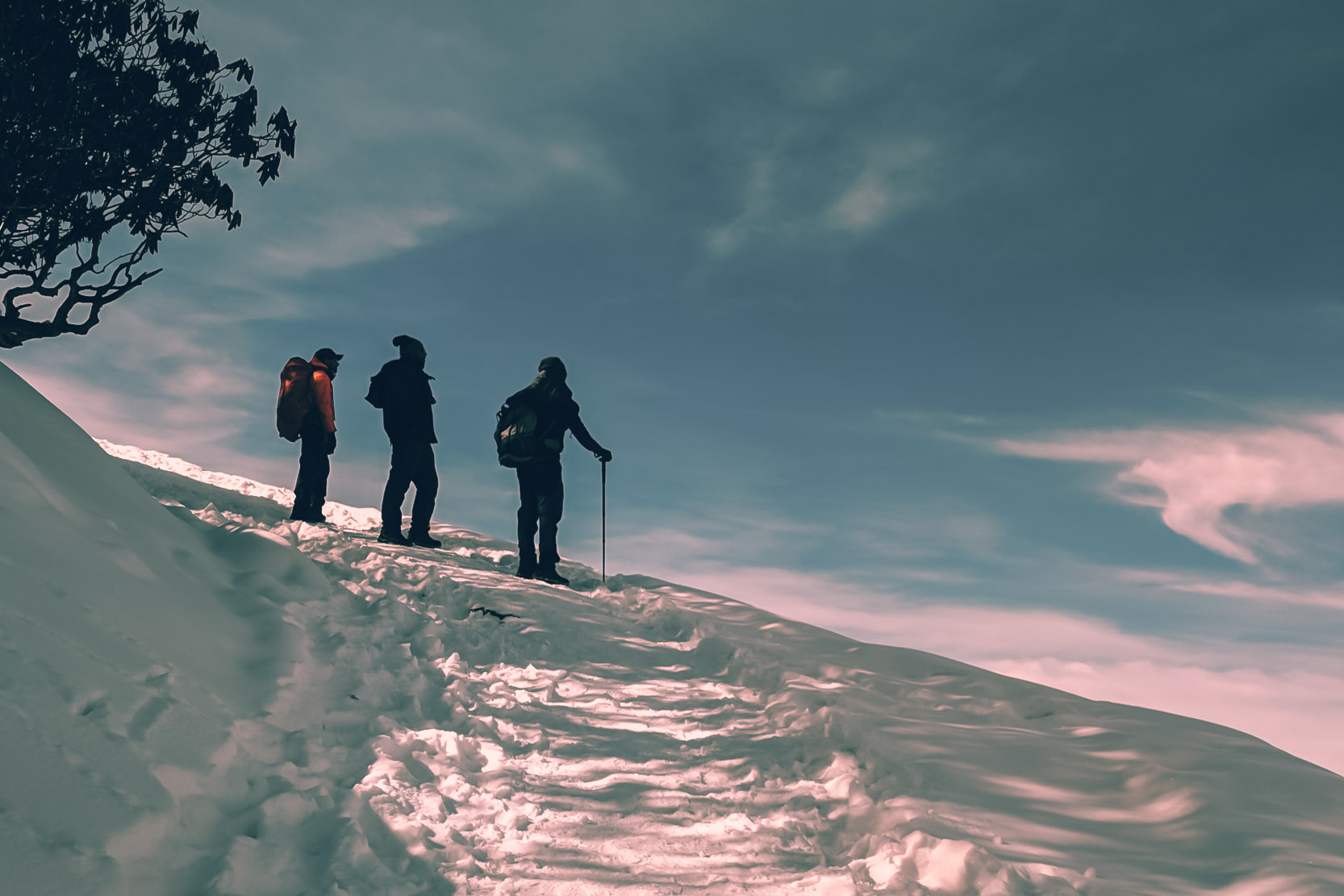 Chopta Meadows