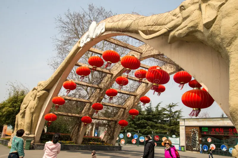 China, Day 10: PANDA SELFIES & VENICE OF SHANGHAI (photo 2 of 3)
