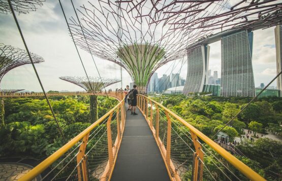 OCBC Skyway at Gardens by the Bay, Singapore