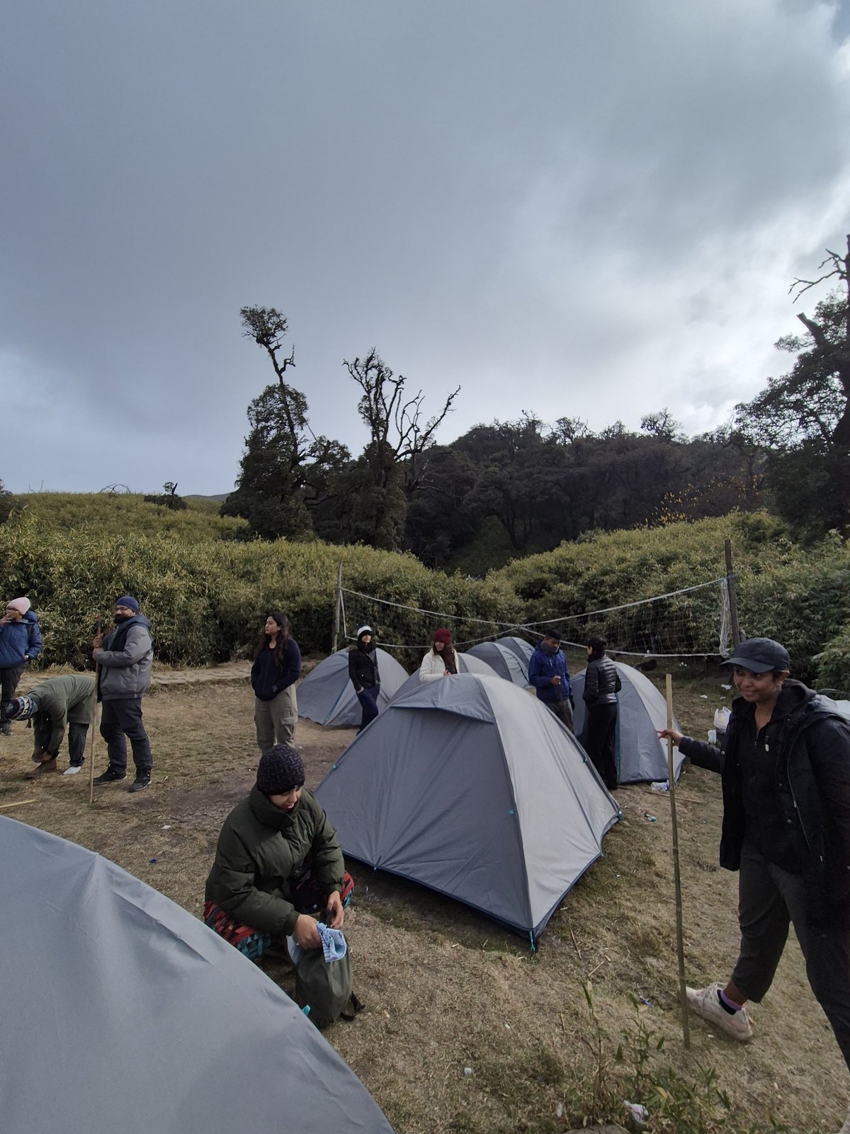 Tents pitched at the Dzouku Valley campsite