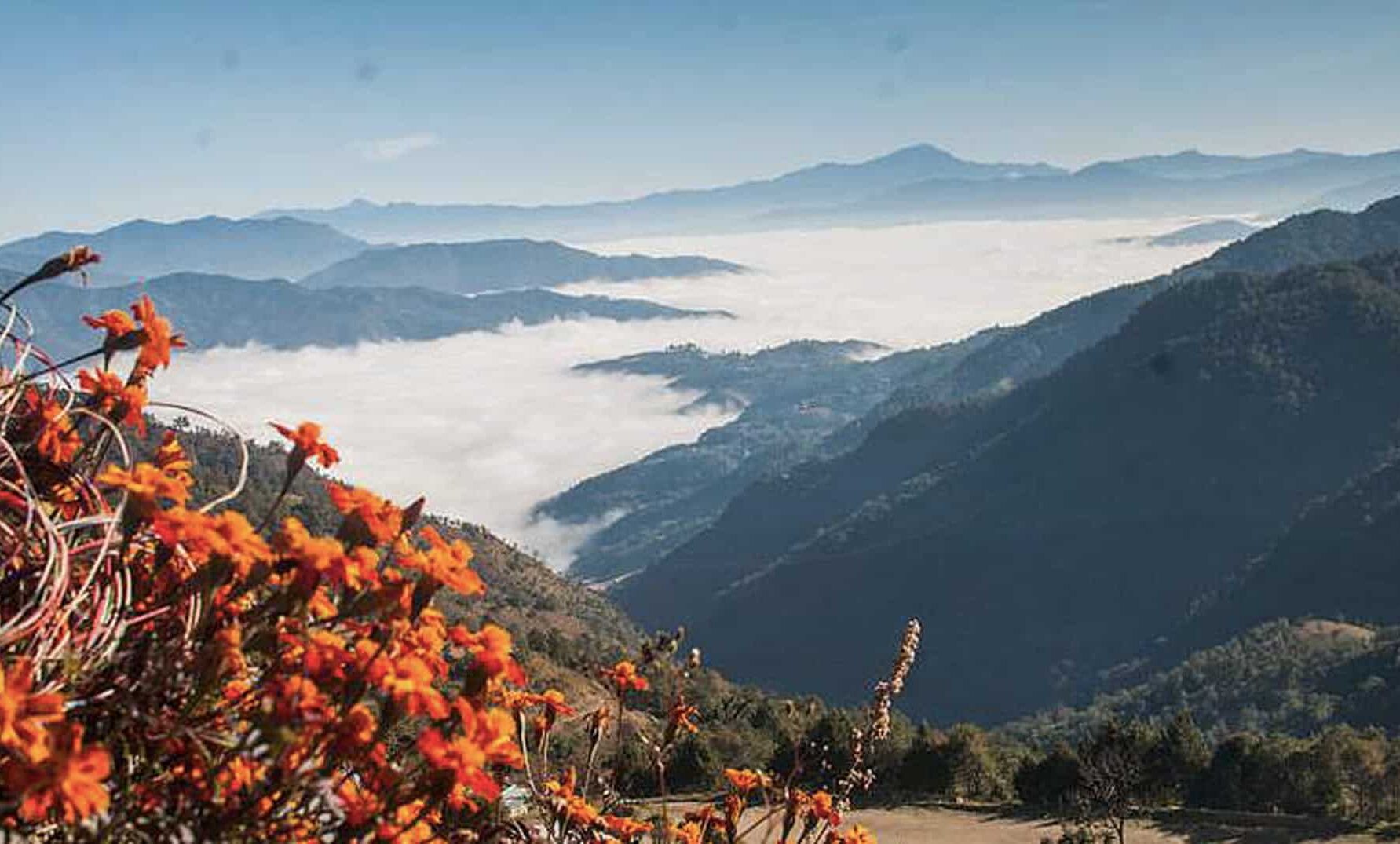 Pfutsero hike
