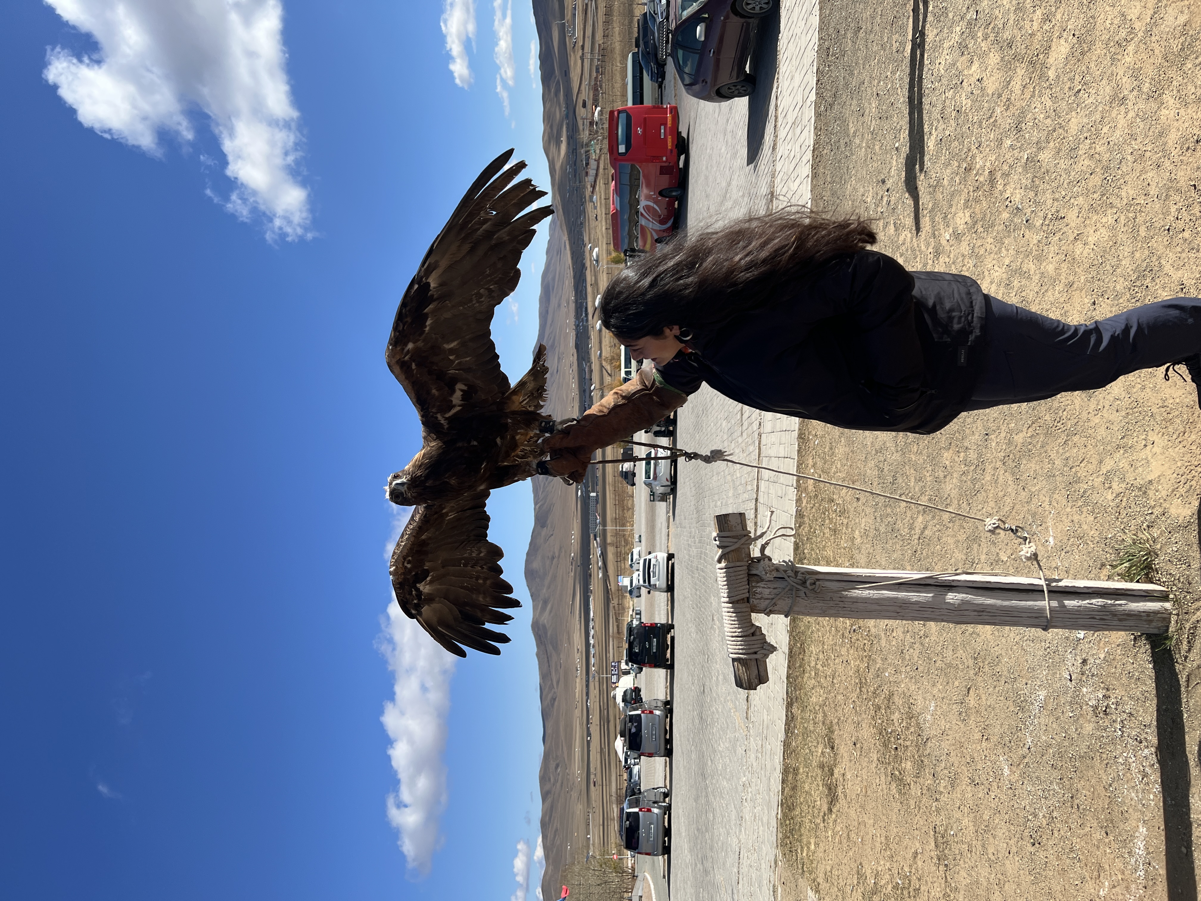 Is Hornbill safe for solo female travel