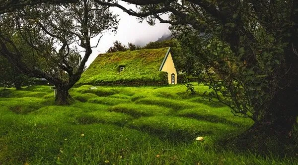 Hofskirkja turf church
