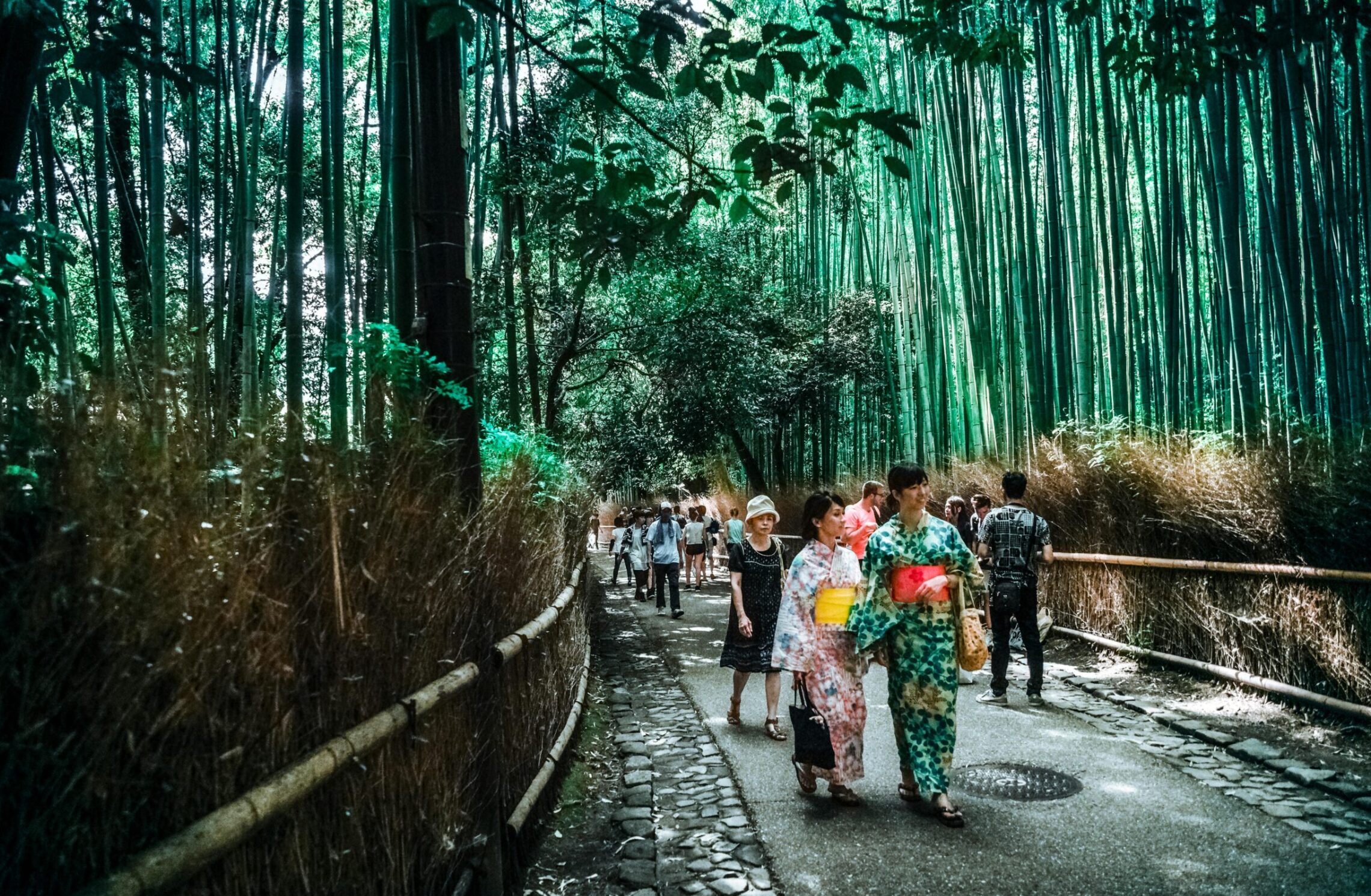 Japan, Day 7: BAMBOO, SCOOTERS AND SAMURAI! (photo 1 of 4)