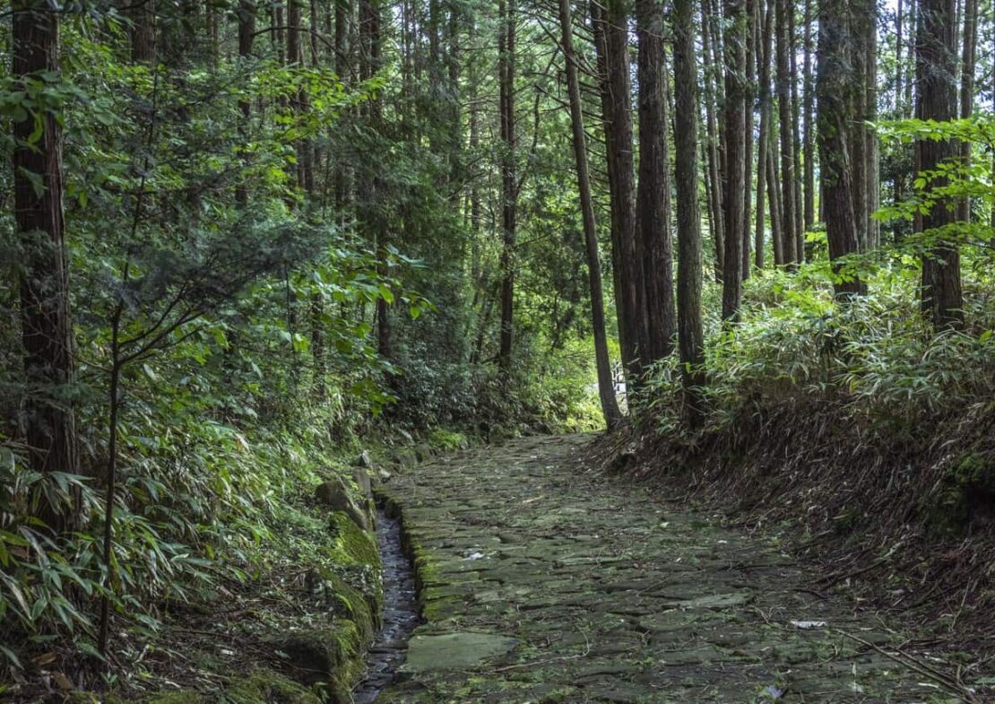Japan, Day 9: FAREWELL, OR ONWARD TO THE TRAIL (photo 1 of 4)