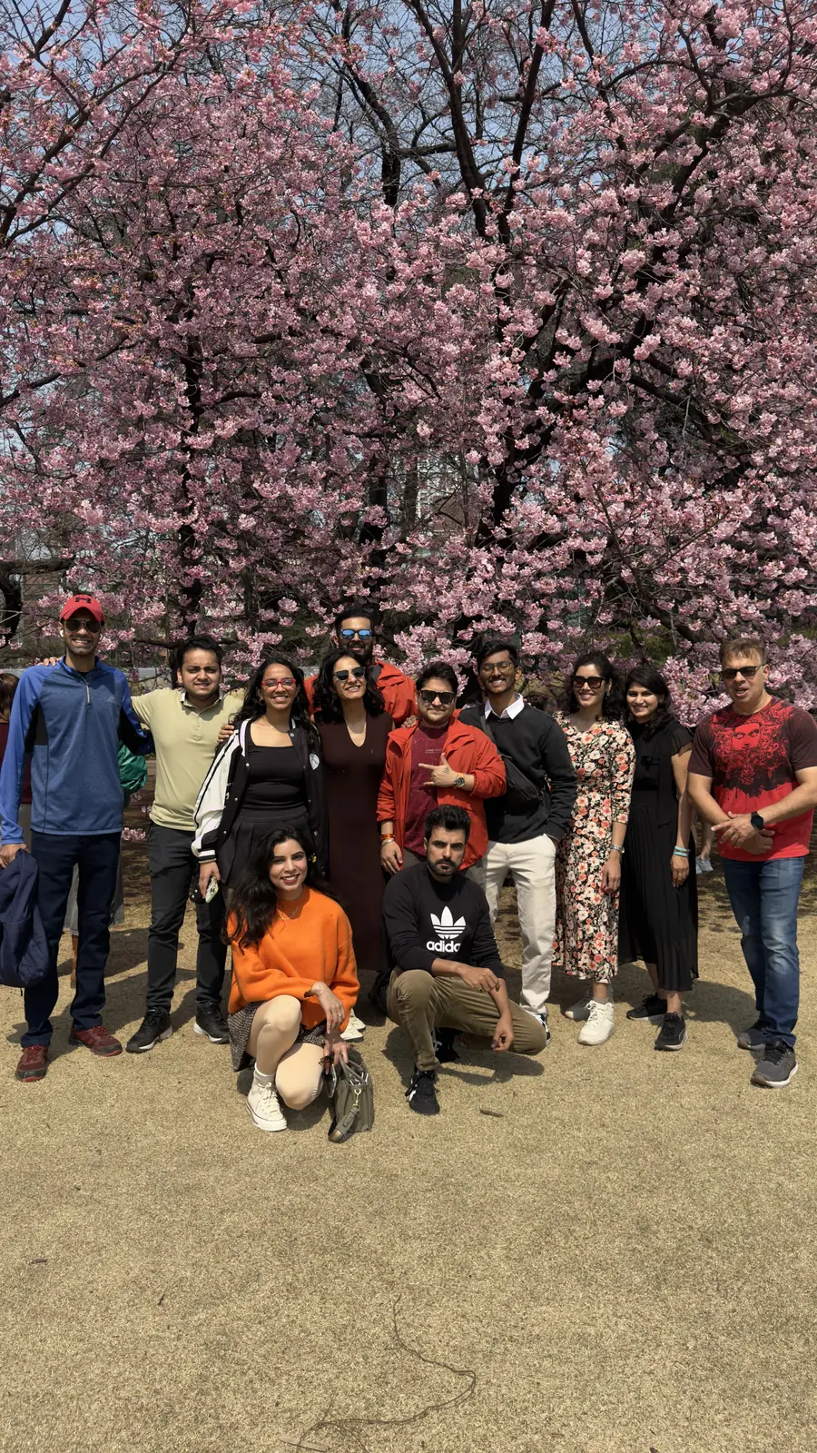 Japan Cherry Blossom, Day 11: The OJ group posing together under cherry blossoms on the last day