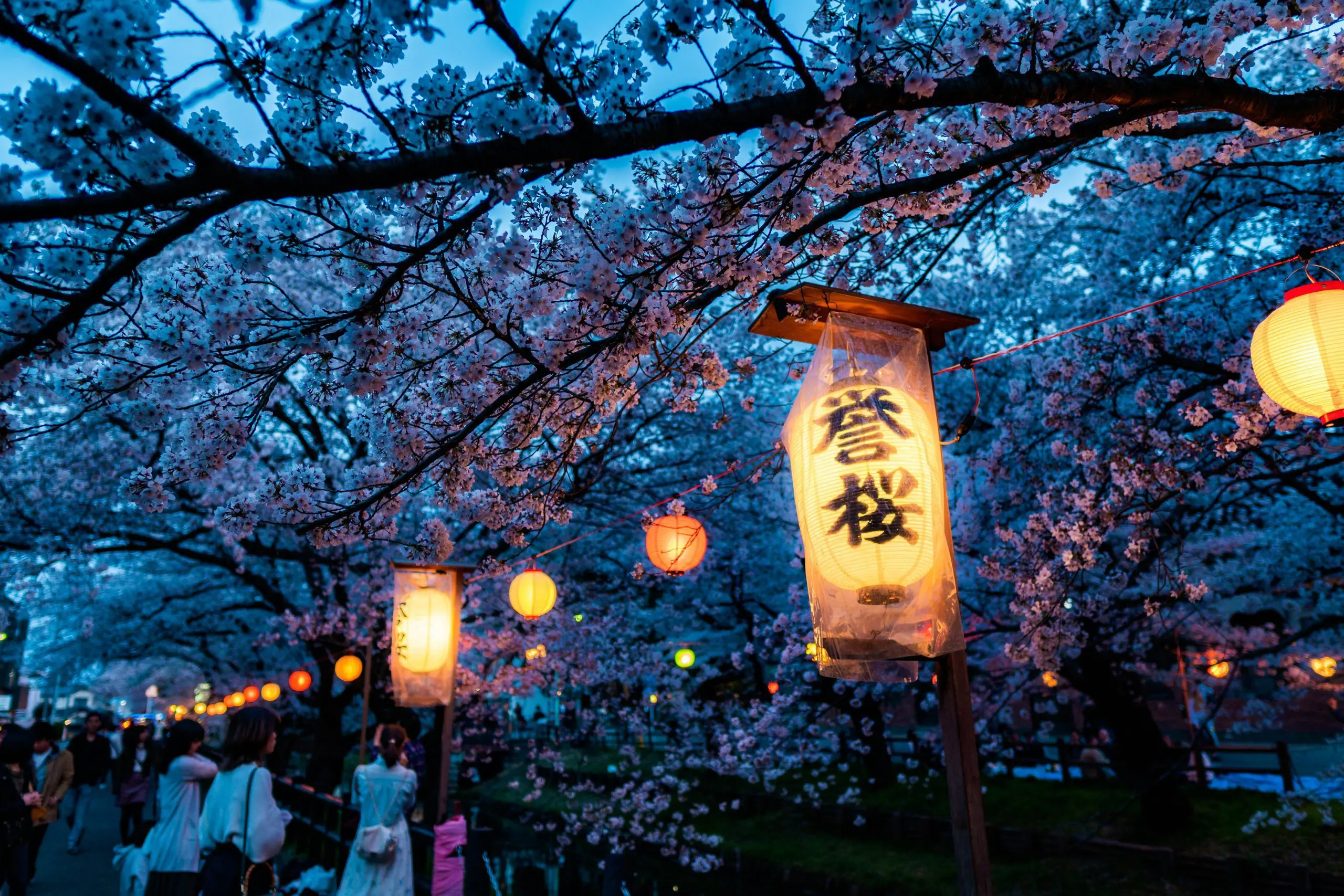 Day 2, Japan
